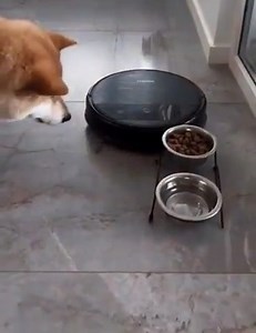 What it looks like when you tailgate ⬇️ Back up and give that other driver space! | Virginia Department of Transportation