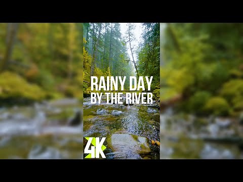 Rainy Autumn Day by the Forest River - 4K Vertical Screensaver - Calming Sounds + Relaxing Music