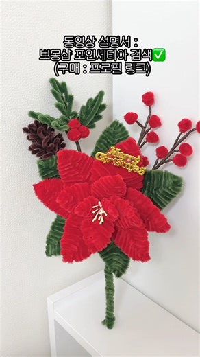 Poinsettia, the Christmas flower❤️
