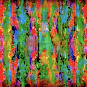 Grafton Concert & Tour History  | Concert Archives