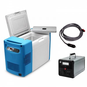 [Hot Item] Cryogenic Mobile -135 Degree Medical Deep Freezer Freezer Car Refrigerator for Car