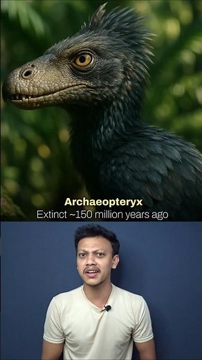 Should We Bring These Animals Back From Extinction? 🤔