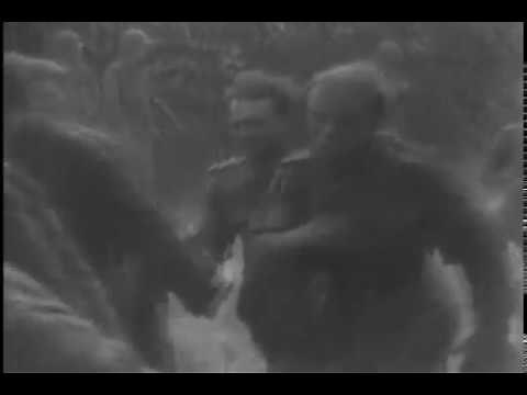 Fall of Cherbourg, France: 79th Infantry Division, German Prisoners (June 28, 1944)