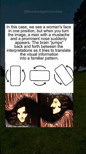 The Double-Face Illusion 🎭