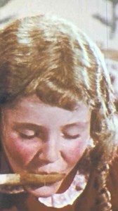 Shipping & Air Freight: How Goods Move Globally