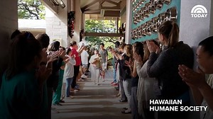 312K views · 6.4K reactions | WATCH: Now this is how you celebrate a shelter dog finally finding a home. | Today Show | Facebook