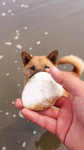 海じまいでの思い出とララ子の夏を振り返る