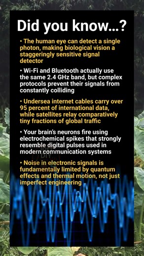 Mind bending facts about electronic signals, data transmission and signal processing
