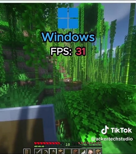 Optimized minecraft for more FPS…. 💀 #tech #ackertech #optimize #gaming #pcoptimizer