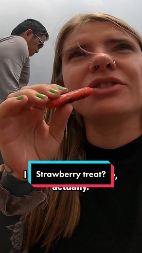 Exploring the Delicious Delights of La Trinidad, Benguet Strawberry Farm