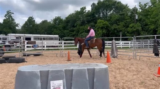 #foryou #explore #motivation #love #horses #horse #nevergiveup #equestrian #reels #instagram #viral | Darrell Gardner Horsemanship