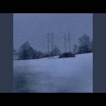 a butterfly skeleton