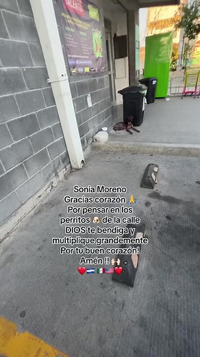 14K views · 541 reactions | #donaconesconamor❤️ #somosmaslosbuenos Please check my profile for the full video! If this video touched your heart feel free to donate on our website: https://www.donacionesconamor.com/ | Donaciones con Amor | Facebook