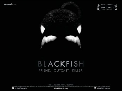 Documentary Film Blackfish, The Truth Behind SeaWorld - Humane Decisions