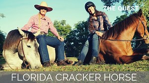 Ready to visit Old Florida? Join me for a lake ride, meet Florida's Official Horse and learn how a horse trainer discovered her passion! Special Thanks to Nancy Slater, Florida Cracker Horse Association, & Florida Cracker Horses! | Discoverthehorse