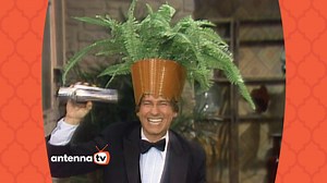 19K views · 668 reactions | It’s New Year’s Eve! Antenna TV hopes you have a safe and happy celebration! Here is a clip from “Three’s Company” where Jack Tripper is full of celebratory spirit! You can watch "Three's Company" weeknights on Antenna TV. How do you plan to celebrate? #antennatv #rewindtv #threescompany #newyearseve #nostalgia #retro | Antenna TV | Facebook