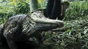 A man steals a flower and is swallowed by a giant crocodile 男子偷采神花，被巨鳄吞食 Movie：荒岛求生之巨兽来袭 Monster Attack #Chinesedrama #wanpeng #wetv #xiaozhan #linyi | 企鹅爱追剧