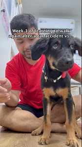 131K views · 8.5K reactions | Normally we write a long caption about...