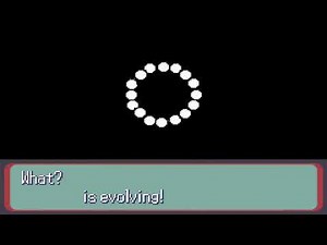 Blank Pokemon Ruby/Sapphire Evolution Template