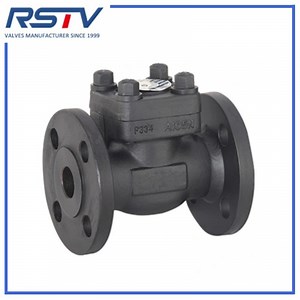 [Hot Item] Premium Stainless Steel Flanged Check Valve for Reliable Flow Control