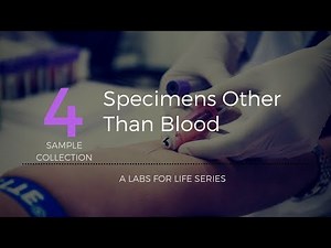 SPECIMENS OTHER THAN BLOOD