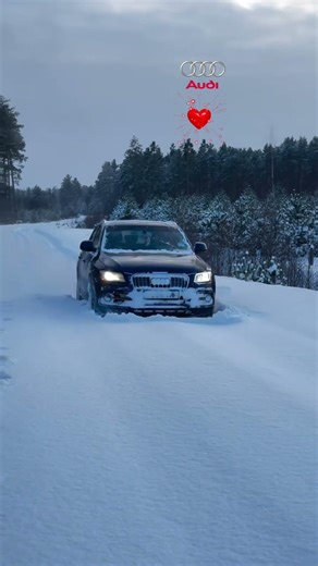 Audi Quattro The Ultimate Snow Beast #audi #automobile