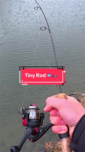 I Tested a TINY Rod 🐟🎣 #fishing #fish | Fishing