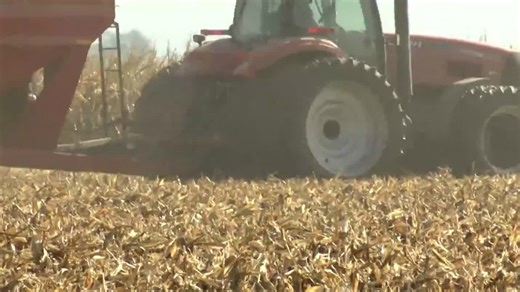 Iowa farmers facing uncertainty at the hands of low prices and trade volatility