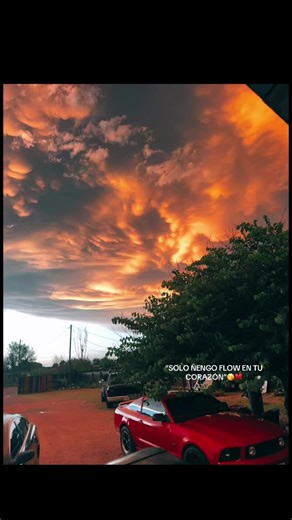 Geni🤍🪩 (@genii314)’s videos with Baby Lover - Ñengo Flow