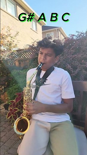 Pink Panther Theme Song | Alto Saxophone | Simple