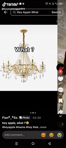 Hey Apple: Memes, Photos, and Fun Sayings