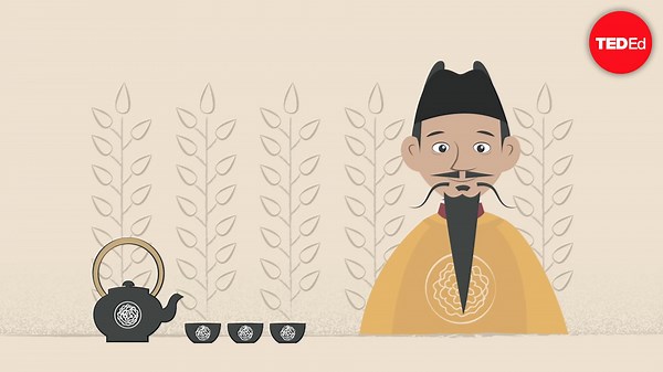 The history of Tea