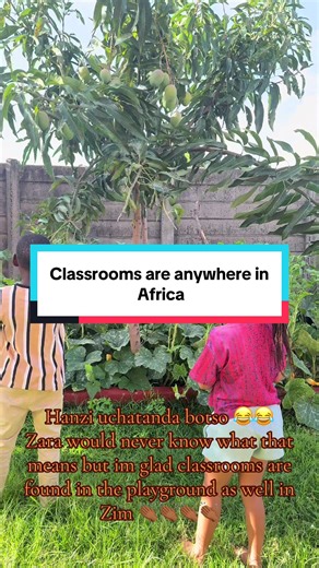 Teaching Zimbabwean Values: Beyond the Classroom