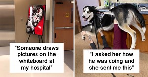 60 Fascinating Behind-The-Scenes Photos People Took At Work That Were Too Good Not To Share (New Pics)