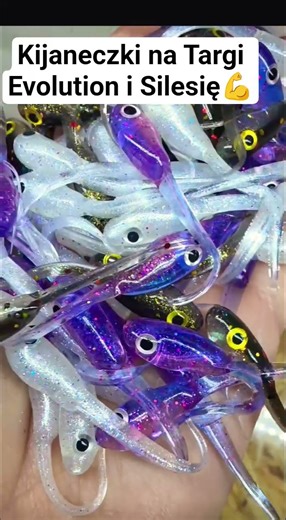 #spining #fishing #perch #okoń #dropshot #drapieżnik #wędkarstwo #trout #predatorfish #barsch