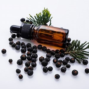 What is Juniper Essential Oil Good For: 5 Benefits of Juniper Berry Oil