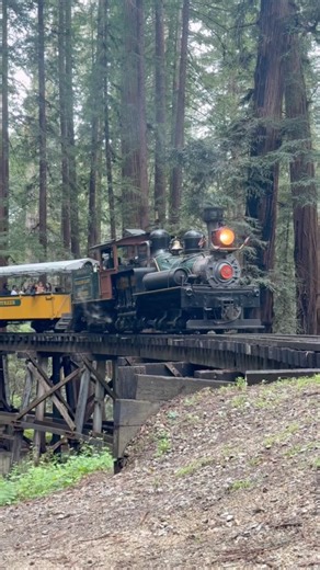 The sound of this train will calm your mind #asmr #relaxing
