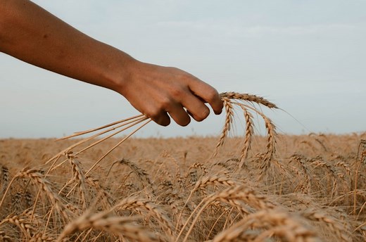 satan-desires-to-sift-you-as-wheat-sermon-four-realities-that-occur