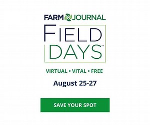 41K views · 42 reactions | 푪풐풎풊풏품 풕풐 풂 풄풐풎풑풖풕풆풓 풏풆풂풓 풚풐풖 ️ The New...