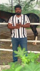 Tricks to save horses from rain ⛈️🤧..#Rescue #medical #firstaid #rain #emergency #horse #tn #india