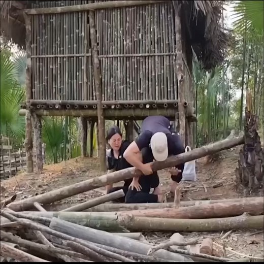 137K views · 1.3K reactions | Video full ：The girl alone set up a tent in the forest | Krishna Lekh | Facebook