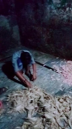 Bird Feather Plucking Techniques Explained