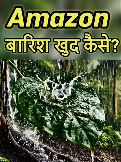 Do you know that the Amazon forest rains on its own? 😳