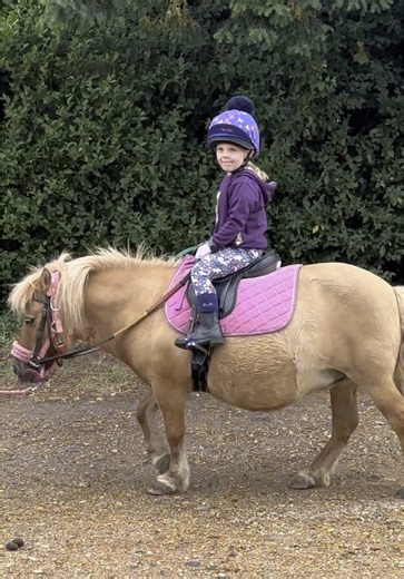 Beatrice had such a lovely day today at @Pony palace 💜 She got to ride the lovely Petal, who was very little and bouncy compared to Maxy but she loved it!! Hoping to be back soon for some activity days! 🦄 #beasponyadventures #toddlerhorserider #tinyequestrian #littleriders #kidsonponies
