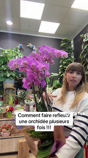 Comment faire refleurir une orchidée plusieurs fois ? Tuto et astuces :) #plante #orchidée #orchid #fleuriste #nature #plants #plantsoftiktok #planteinterieur #fleurs #tutorial #tuto #tutoplante #plantes #pourtoi #foryou #fyp #homedecor #decoration #plantslover
