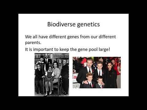 4.2.1. Biodiversity a) How biodiversity can be considered at different levels.