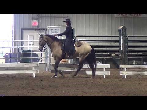 Cossaco (Lusitano) & Jill Barron (Working Equitation - L6 Advanced Test)