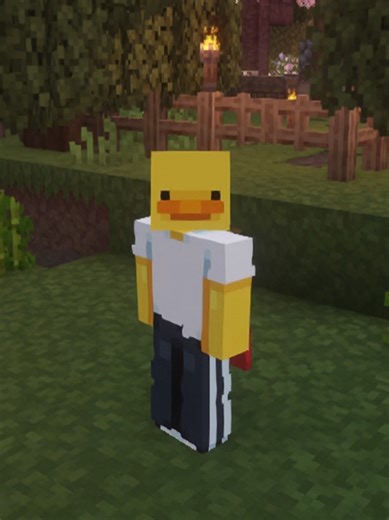 Mods die ich nutze // Teil 1#viral #minecraft #calm #mods #eclipseshader