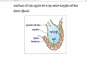 SA 1 10th Class General Science model paper 1