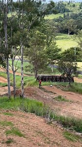 Had to soar this blue POS bout 69 yards… it ain’t no eagle but we still maker fly 🦅💨💨💨 #fyp #slay #rider #ontop #havefun | ronniemacdaddy